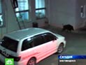 � ����� ������������� ������� ����� �����, �� ����� �������� � ����� ��������� �����