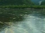  08:10   (04:10 )        ,  800-        