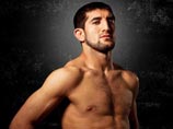     ,    ,             Fight Nights    ,  ,   ,  