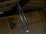 47-    46-       ,        