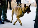 ЦРУ забыло взрывчатку в автобусе, перевозившем школьников ЦРУ забыло взрывчатку в автобусе, перевозившем школьников