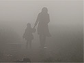 Сотни мигрантов пострадали в беспорядках на границе с Грецией Сотни мигрантов пострадали в беспорядках на границе с Грецией