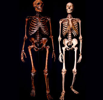 ������� ������������ �������� � ������ �������������, ����������� � ����� livescience.com