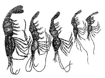 5 ����� ��������, �������  � ����� adfg.state.ak.us