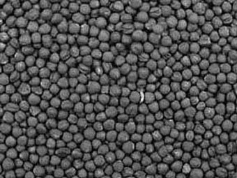 ������ �������, ����������� � ����� Wikipedia