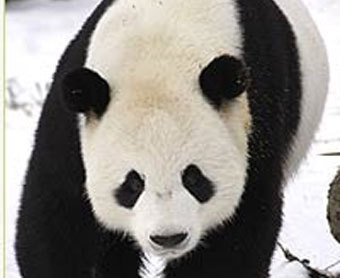 ����������� � ����� nationalzoo.si.edu