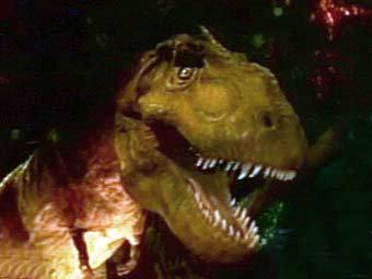 ���� ���������� ���