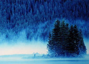 ����������� � ����� cpawscalgary.org