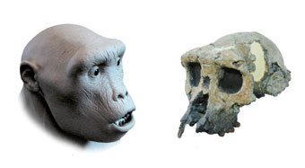 ������������� ���� ��������