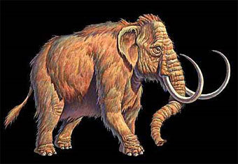 ���������� ������, ������� � ����� dinosauria.com