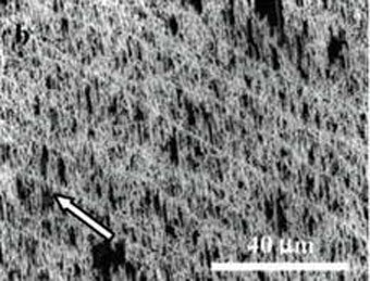 ����������� ��������������� ���������� ������� �� ����������� ��������� � ����� USC