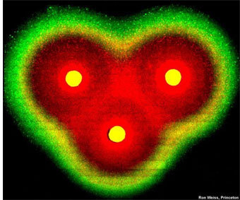 �������, ����������� "����������������" ����������. �������� - LiveScience.com