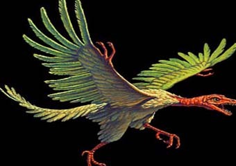 ������������� ��������, ����������� � ����� calvin.edu