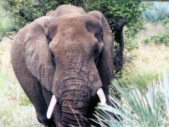 ���� � ����� weblore.com