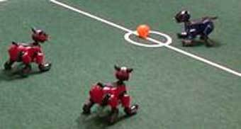 ����������� � ����� robocup-us.org