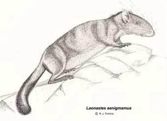 ���-����. ����������� �������� ���������� ����� �������