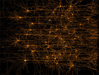 ������� ��������, ����������� � ����� IBM