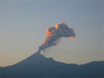 ������ ����, ���������� � ����� mexicoinvestigations.com