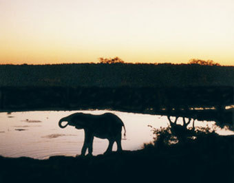 ���� � ����� carnets.tourdumonde.be