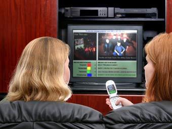 ���� � ����� pangolinsms.com