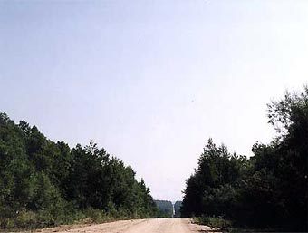 Дорога на Кукан. Фото с сайта amacan.breeder.ru