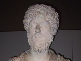      .    www.wikimedia.org,   Zubro