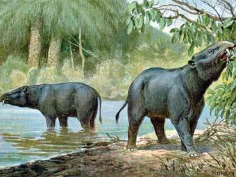 Moeritherium.  Heinrich Harder   wikipedia.org 
