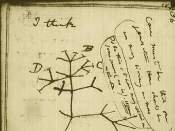         darwin-online.org.uk