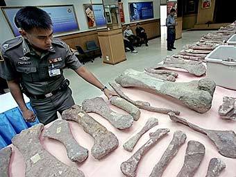  ,        2005 .  AFP, 