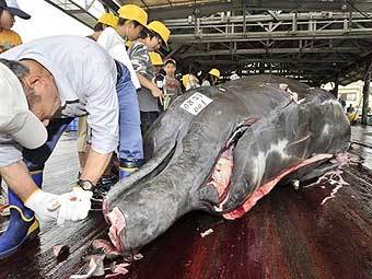 ""  .  AFP