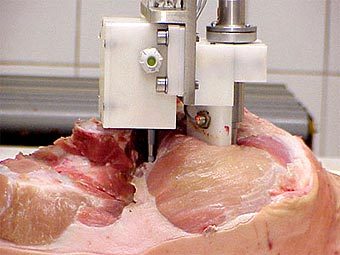 ������������� ���������� ������������������� ��������� �������������� ������������� ��� ����������� �������� ����. ���� Esteban Espuna � ����� ESA