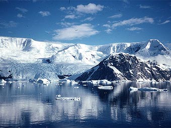���� � ����� marinebio.net