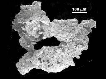 �������� ������ ������. ���� NASA/JPL