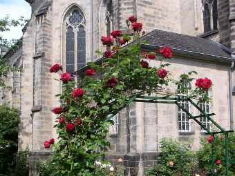    st-sturmius.de