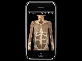 �������� ��������� "Anatomy Lab"