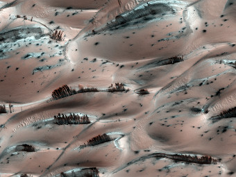 "���" �� �����. ���� NASA