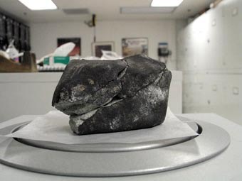 ��������. ���� Linda Welzenbach/Smithsonian National Museum of Natural History