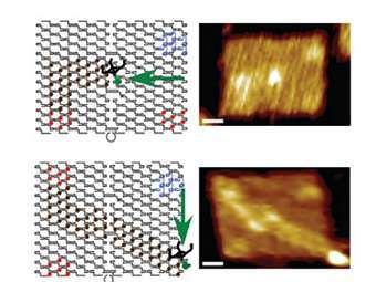 ������ ������������ ������-"�����" (�����) � ��� ���������� (������). ����������� Lund et al.