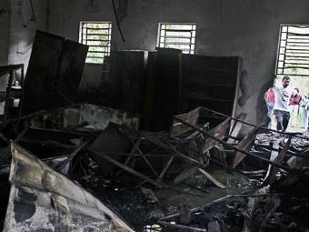����������� ������ � Instituto Butantan. ���� &copy;AFP 