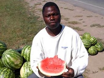 ������� �����. ���� � ����� molgvardia.ru