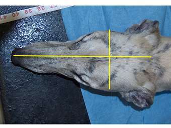 ��������� ��������� ������ ������. ���� ������� ������������