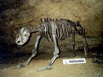 ������ ��������� �������. ���� ������������ Rainer Lippert � ����� wikipedia.org