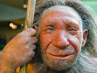 ����������������� ������� ��� Homo neanderthalensis. ����������� � ����� arizona.edu