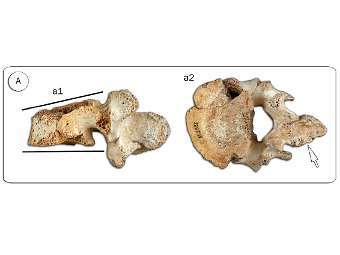 �������� ������ � ��������������� �����������. ����������� ������� ������������