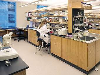 ���� � ����� harvard.edu