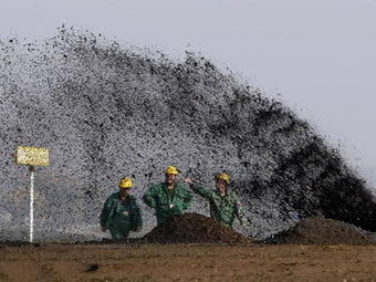     MOL.  ©AFP