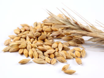 ���� � ����� Photl.com 