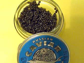 ���� � ����� caviaremptor.org