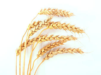 ���� � ����� Photl.com