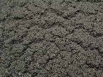 ���� &copy;AFP